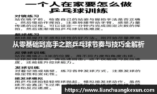 从零基础到高手之路乒乓球节奏与技巧全解析